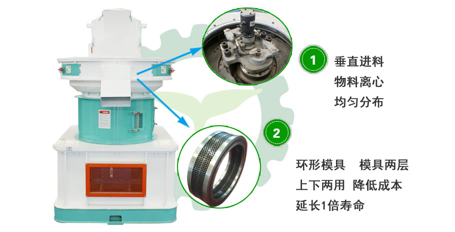 香蕉视频毛片圖片