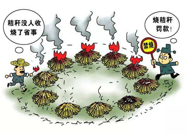 生物質香蕉视频毛片械