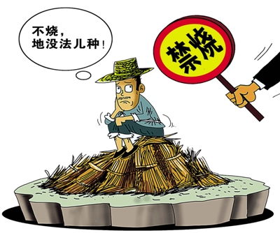 生物質香蕉视频毛片械