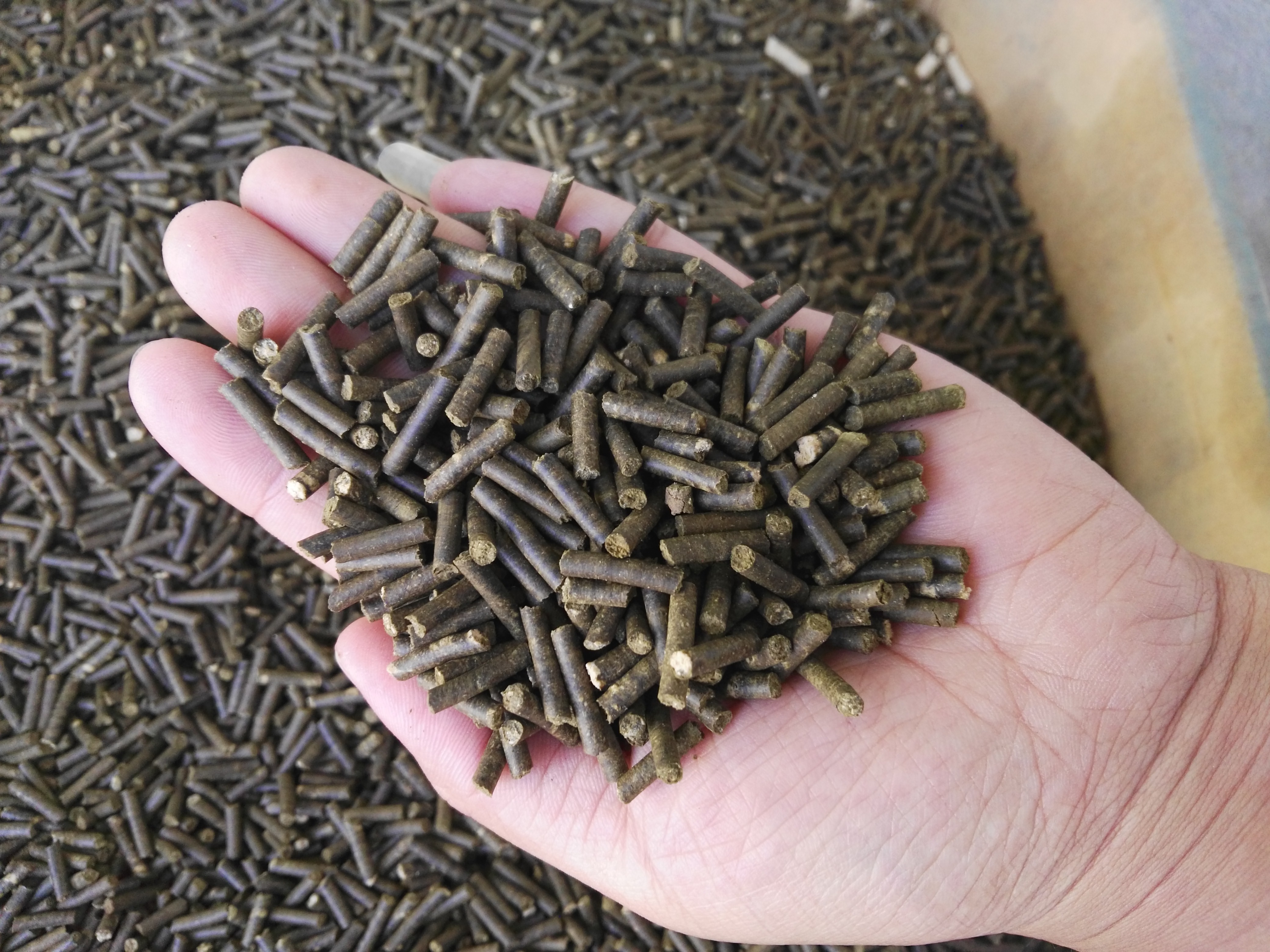 生物質香蕉视频毛片械