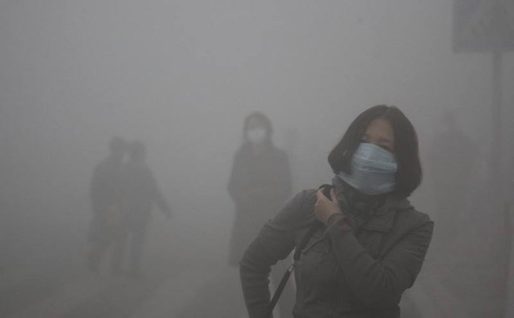 生物質香蕉视频毛片械