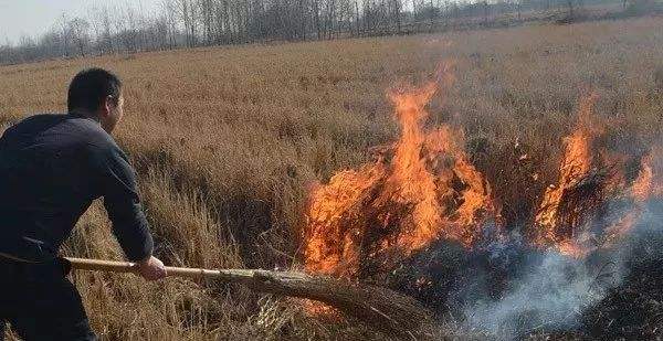 生物質香蕉视频毛片械