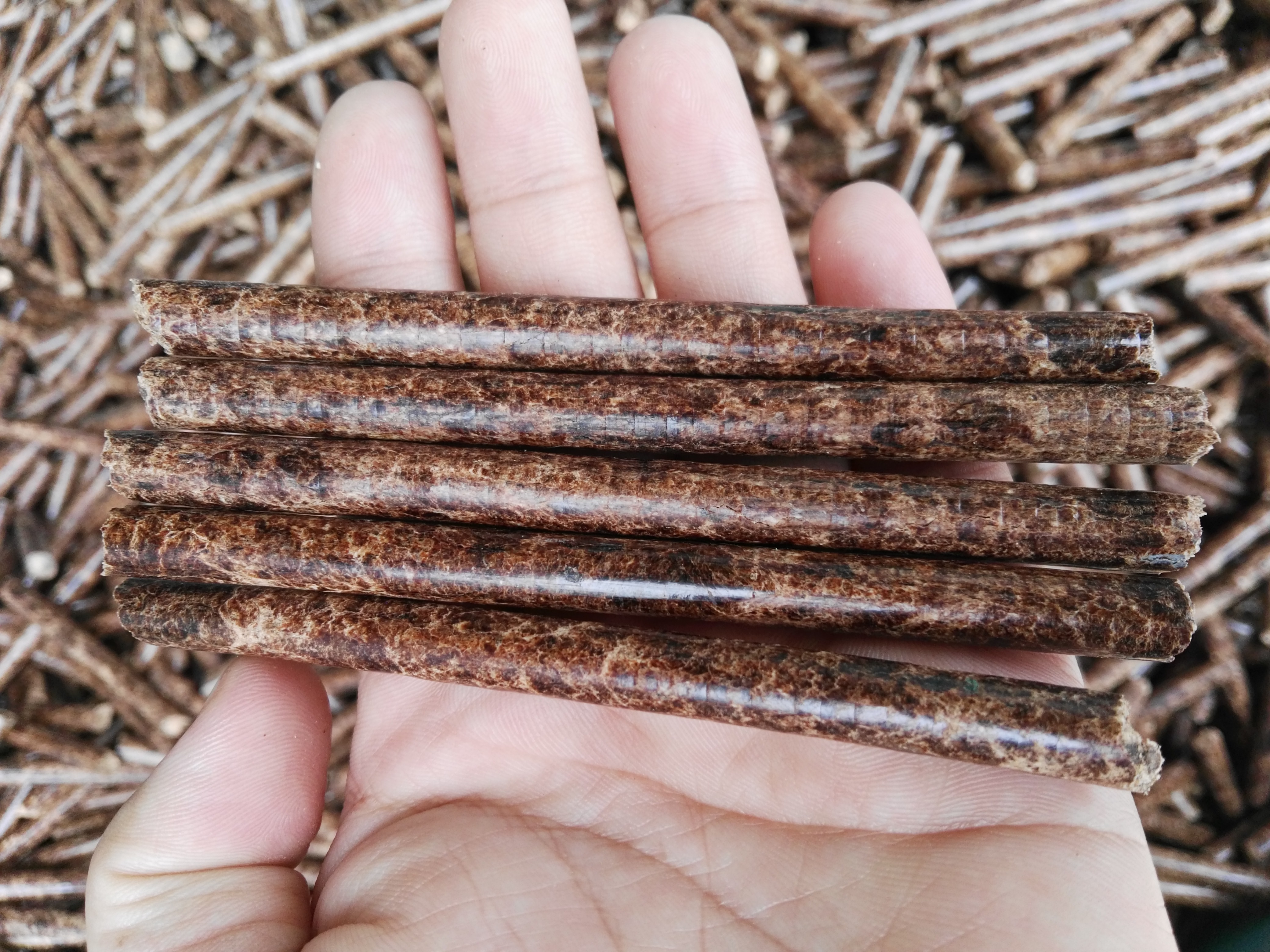 生物質香蕉视频毛片械