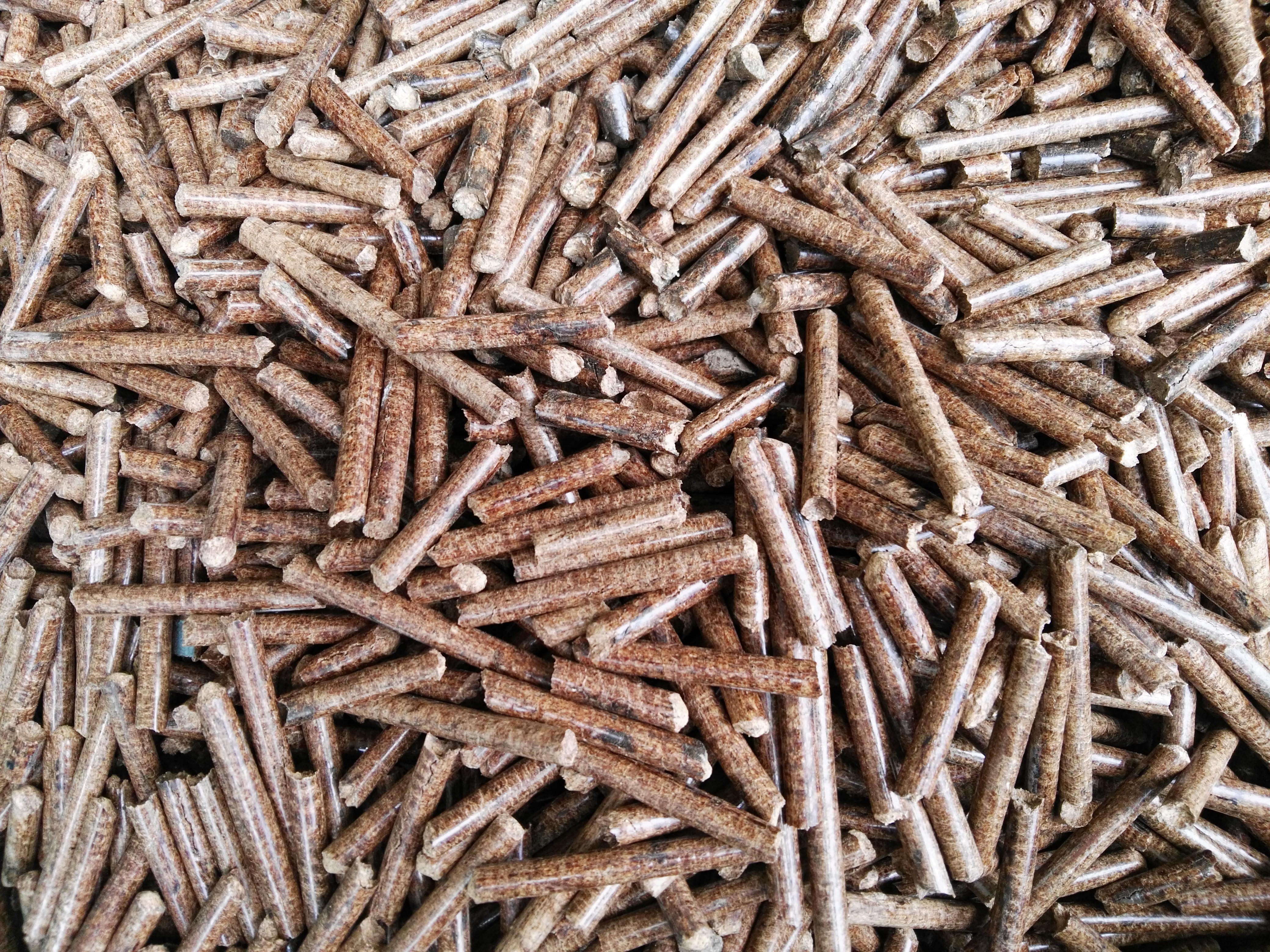 生物質香蕉视频毛片械