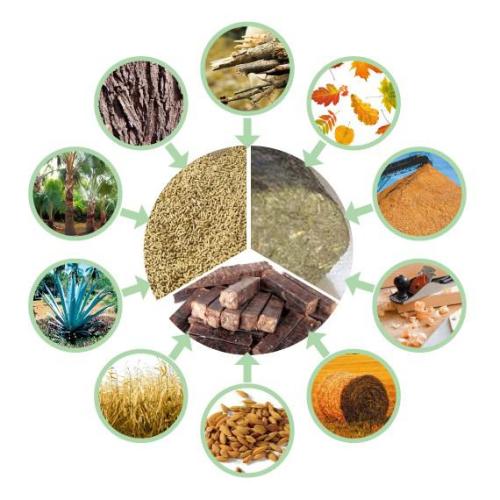 生物質香蕉视频毛片械