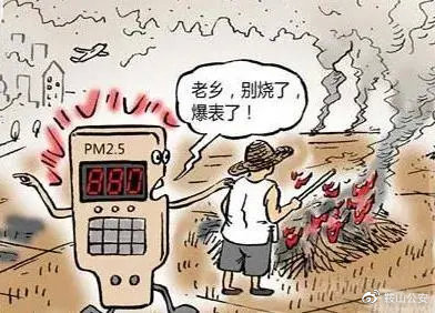 生物質香蕉视频毛片械