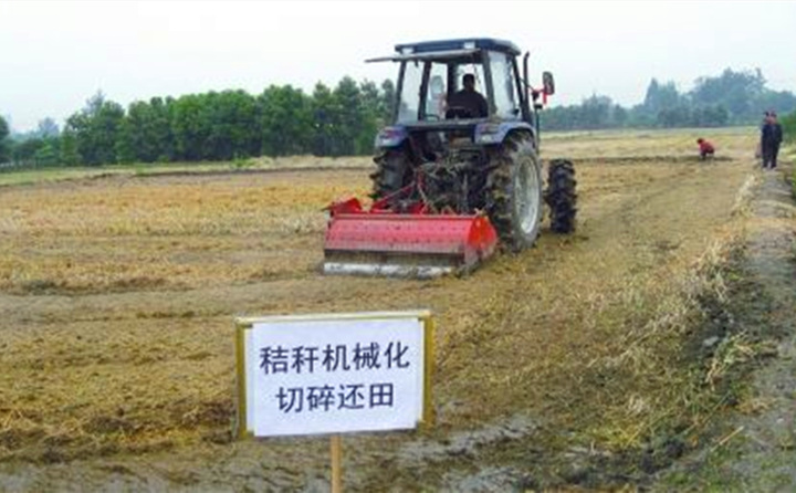 秸稈還田讓“地越種越肥、產值越來越高”