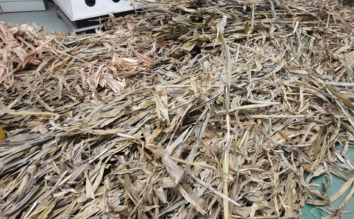 突泉縣：廢棄秸稈綜合利用催生綠色經濟