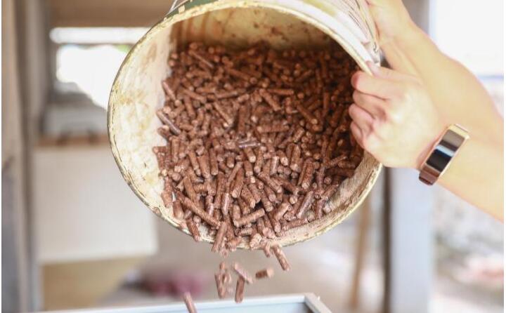 生物質香蕉视频毛片的燃料