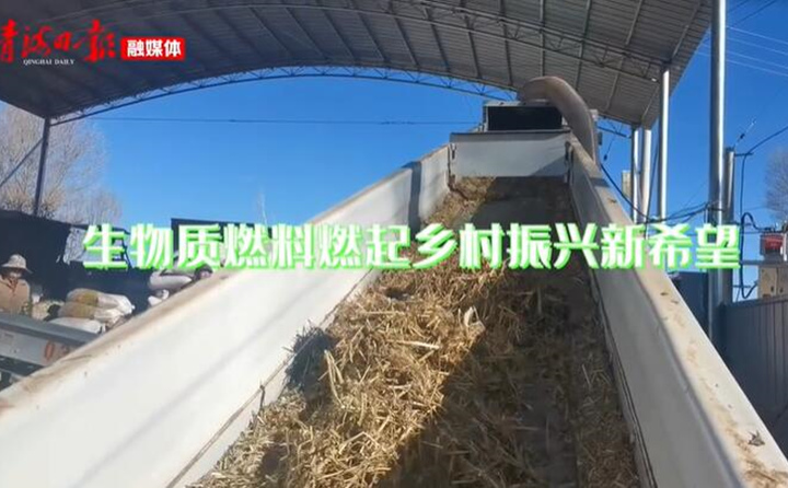 青海海東樂都：生物質顆粒燃料燃起鄉村振興新希望