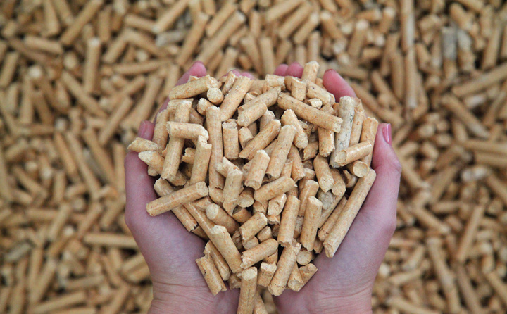 生物質香蕉视频毛片加工的生物質成型燃料
