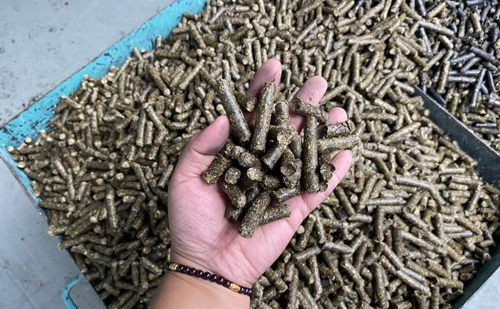 生物質香蕉视频毛片加工的燃料