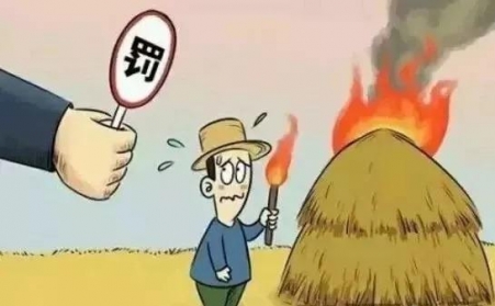 秸稈禁燒怎麽辦？秸稈香蕉视频毛片幫您變廢為寶！