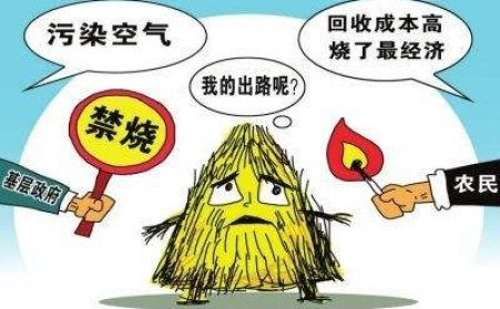 黑龍江秸稈香蕉视频毛片把秸稈從包袱變回寶貝！