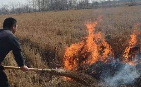 生物質香蕉视频毛片解決了農村大難題！
