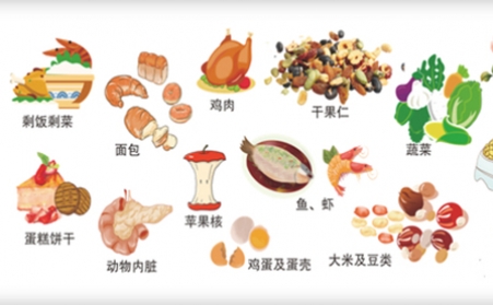 我國明確對非居民廚餘垃圾處理按“產生者付費”原則計量收費,你的垃圾怎麽辦？垃圾生物質香蕉视频毛片幫你解決