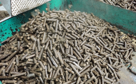 生物質香蕉视频毛片成型燃料知識大全