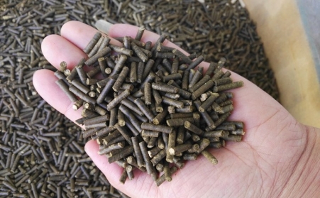 生物質燃料香蕉视频毛片加工顆粒燃料對我國發展有重大意義