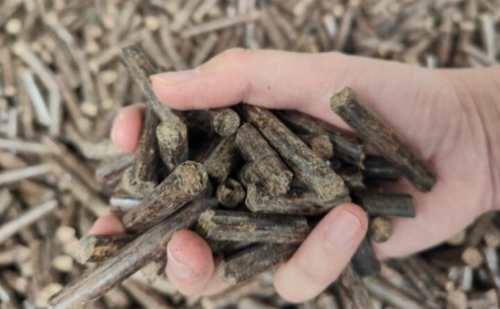 提高生物質香蕉视频毛片產量小妙招及顆粒用途