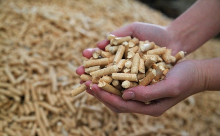 明確生物質成型燃料是清潔能源，加大政策扶持力度