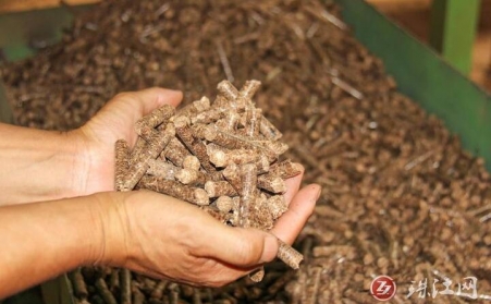 雲南省迤車鎮：廢枝雜木“變身”環保生物質顆粒燃料