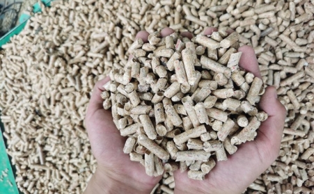 生物質香蕉视频毛片加工的顆粒燃料能烘烤煙葉嗎？有什麽優勢？ 
