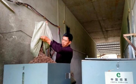 江西贛州煙區：開啟煙葉烘烤“綠色之門”